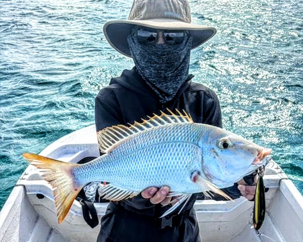 IMG_20251205_171054_836~2