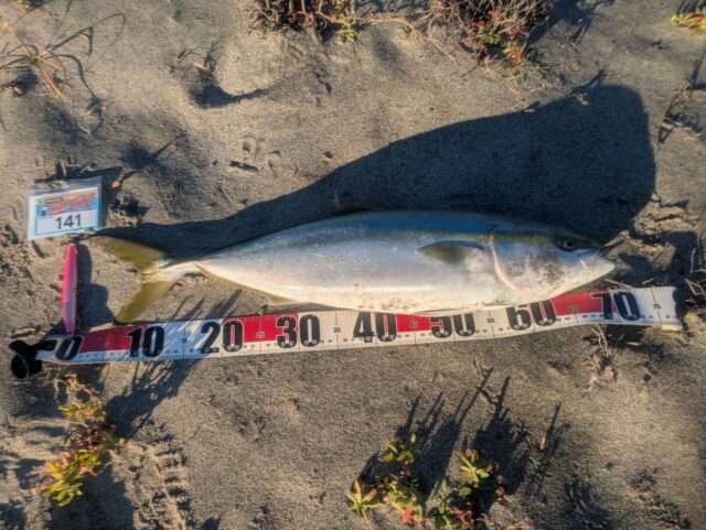 JaeulmbunfsteIMudoi7lpRCr7k172fw0yjLAKDpFyU-xAIDbkbe4fyIJ11EkdymAHtZrJRWSkYjMfJ0cU_-QQoD29rNDWWF703nFQJR8rhhoWE6LULDmyhzA71t3U6P-Y6RmCFYWj9R9NUu3GhWkQ==