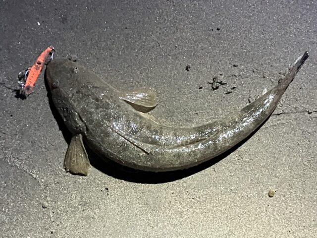 KFnFJpNK5j1d5i667LrhkLeTkroQIYzmTS7dRaJ0mixaNC9zpIHMax3jM7qVqx6IMlTaveTABabDeAwUnoul51rI9DuS09qs-F-8Dmx7WAeAI4T42GY7ydA1St8WFCQIdWH1GW1Hzzc1ZjJIrpDCnQ==