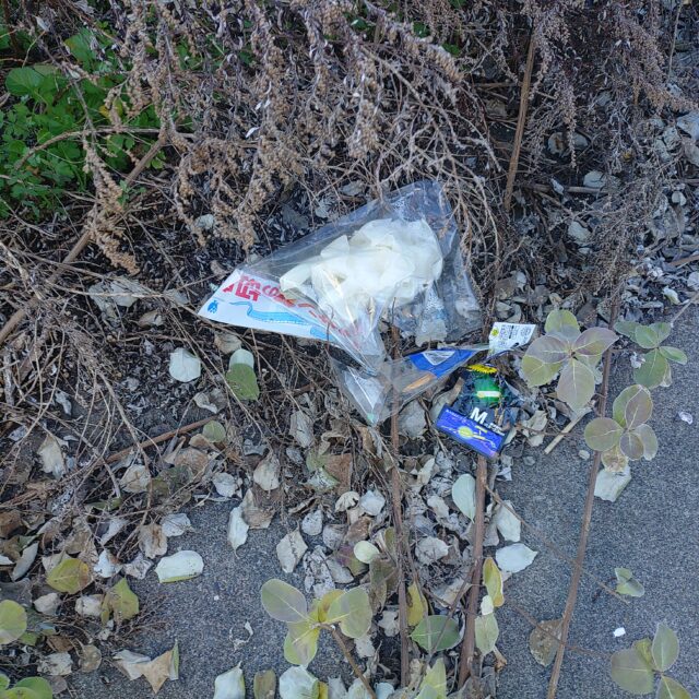 KIMG20251219_100346507