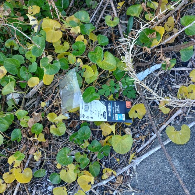 KIMG20251219_100456479