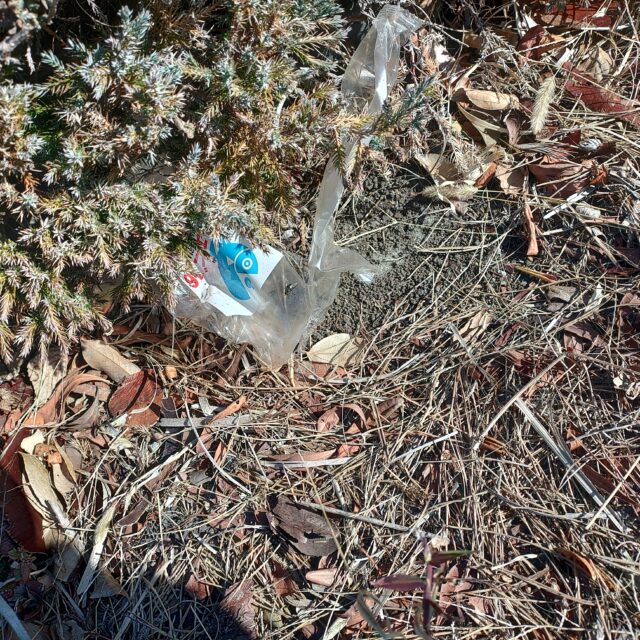 KIMG20251219_101019430