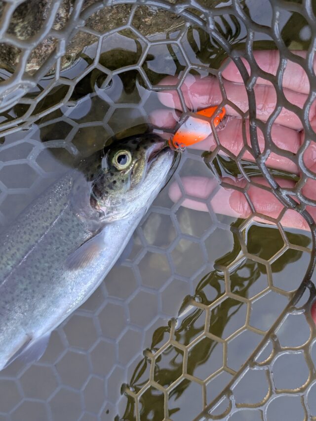 PXL_20251108_060636215.PORTRAIT.ORIGINAL