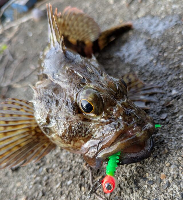 PXL_20251201_050439593