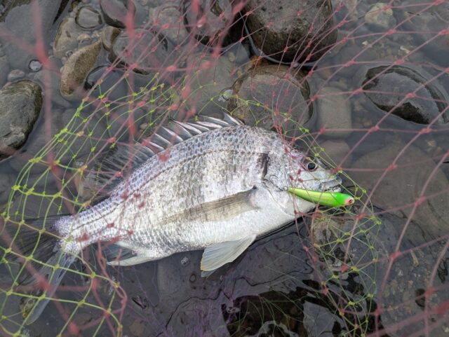 PXL_20251202_234345039