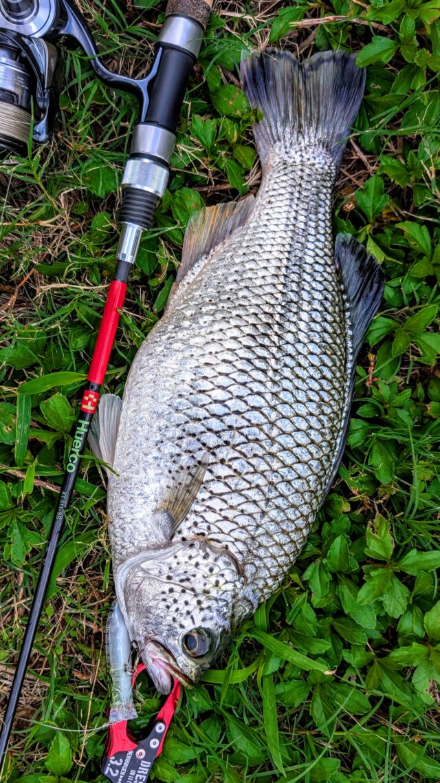 PXL_20251203_063848835.MP~2