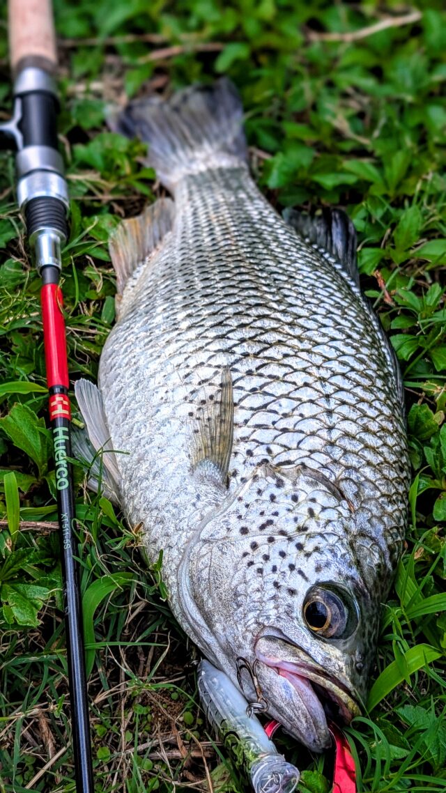 PXL_20251203_063901455.PORTRAIT~2