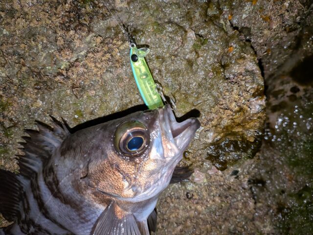 PXL_20251207_140225695