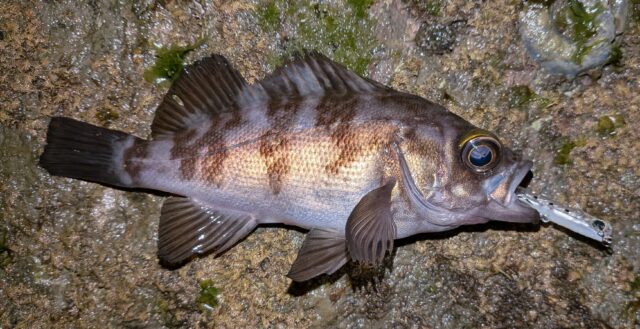 PXL_20251207_140620352