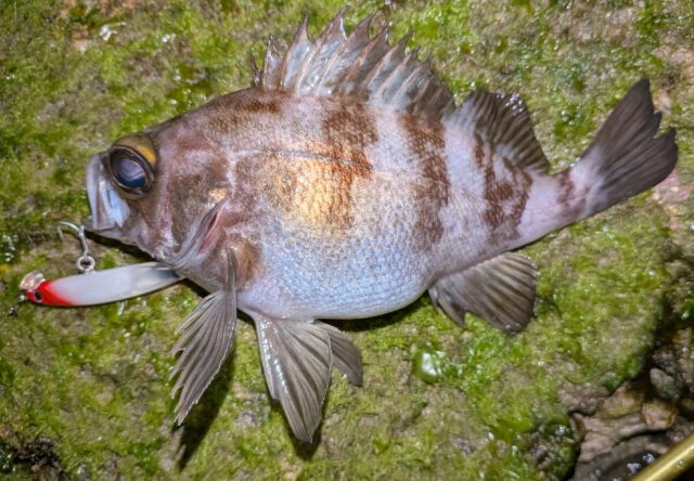 PXL_20251207_143510249