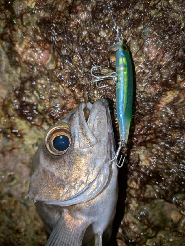 PXL_20251207_151420621