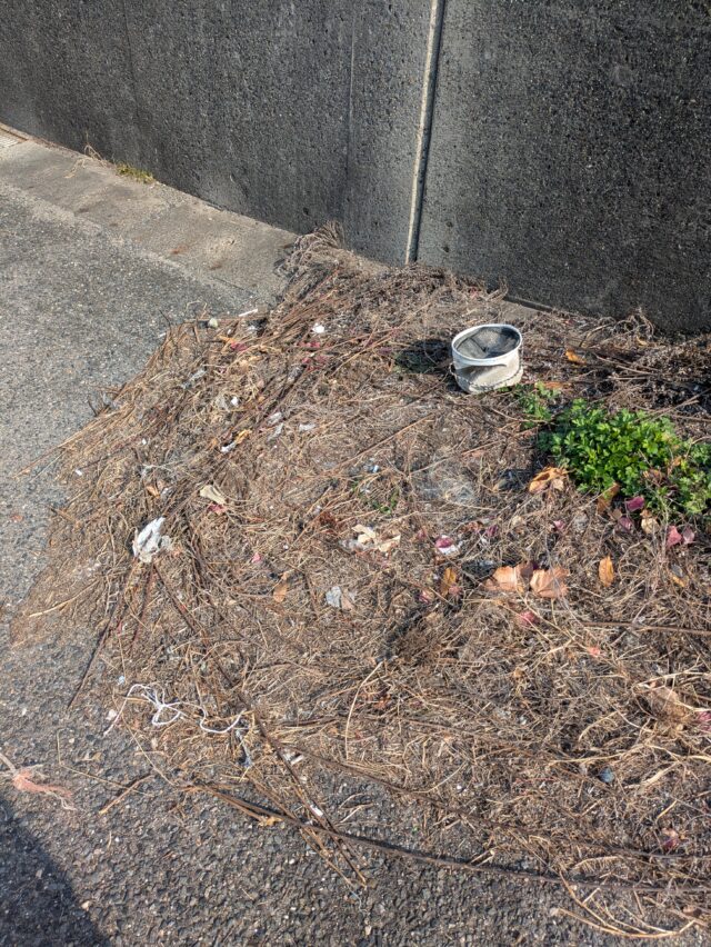 PXL_20251208_032031968