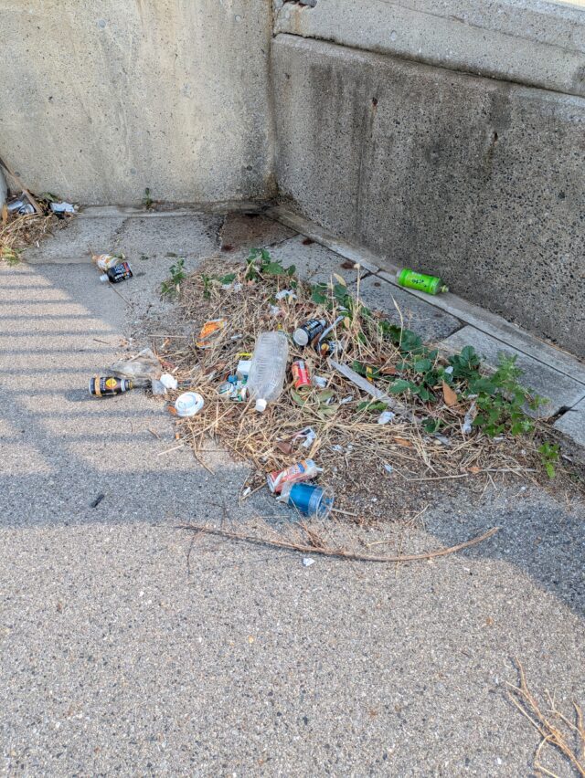 PXL_20251208_032222570.MP