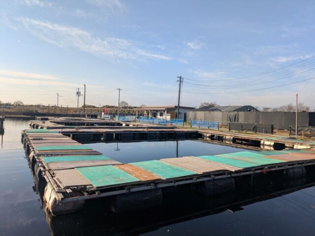 PXL_20251210_235932946.MP