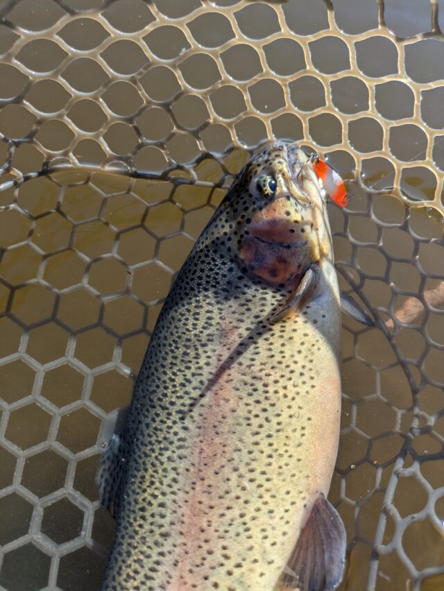 PXL_20251213_005108000.MP