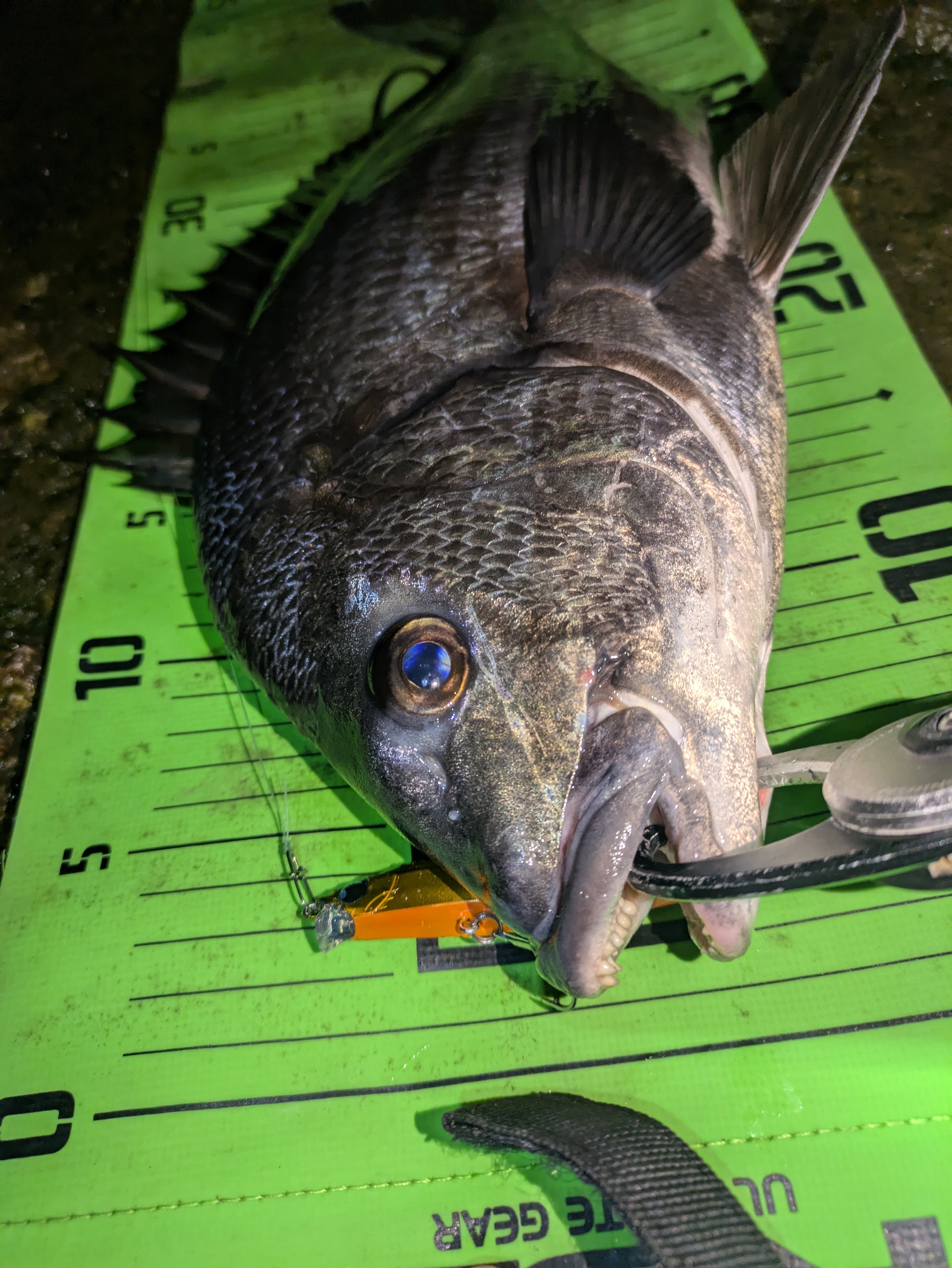 PXL_20251214_100918592