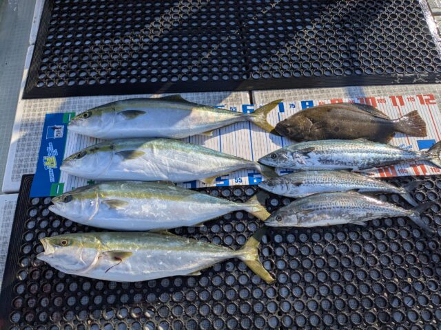 PXL_20251216_044522288