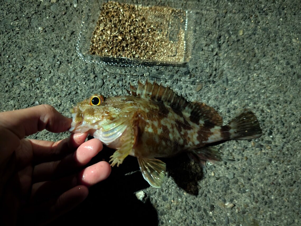 PXL_20251216_161551914