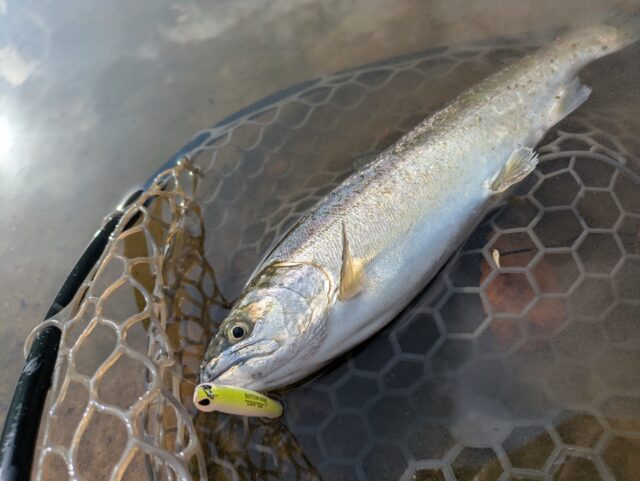 PXL_20251217_023920558