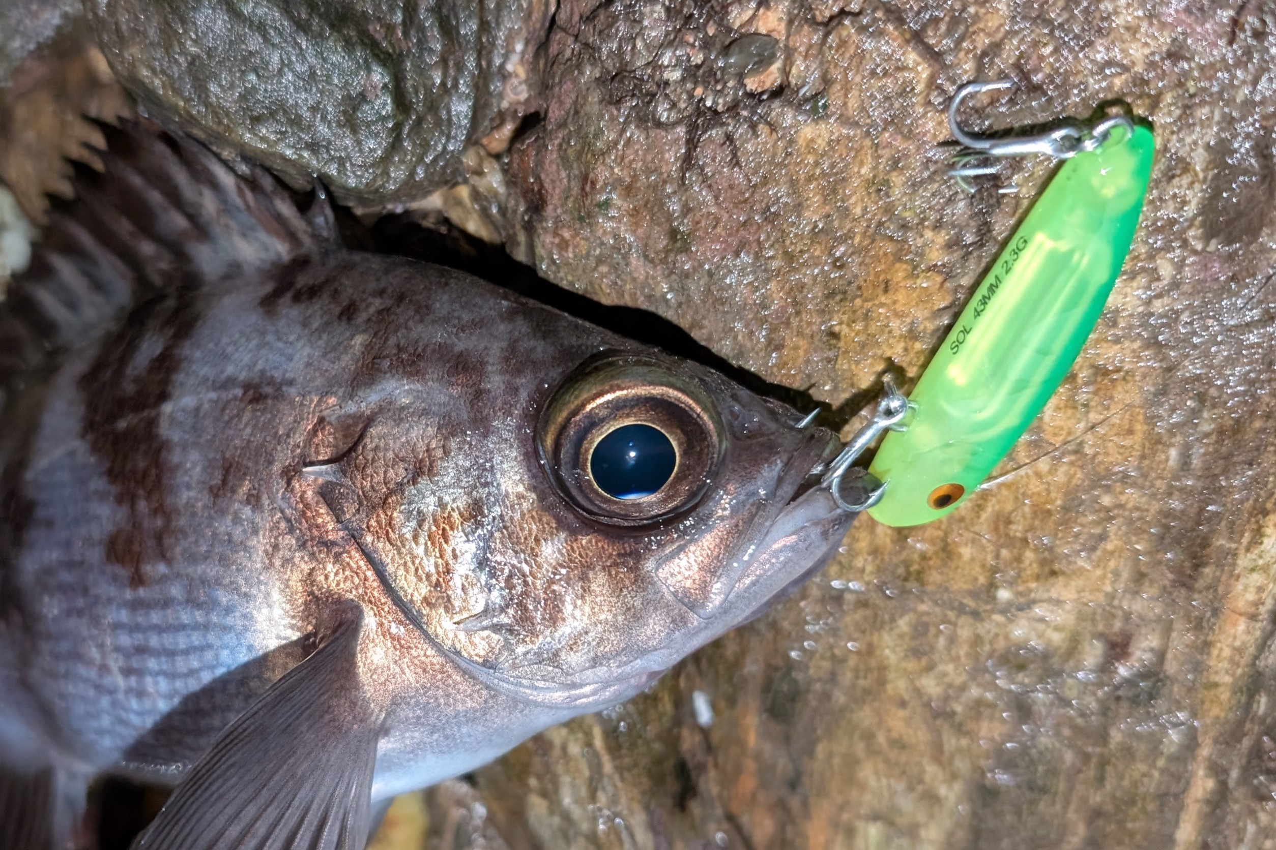 PXL_20251218_134316299