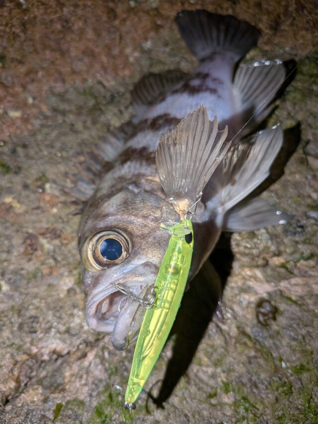 PXL_20251218_141611175