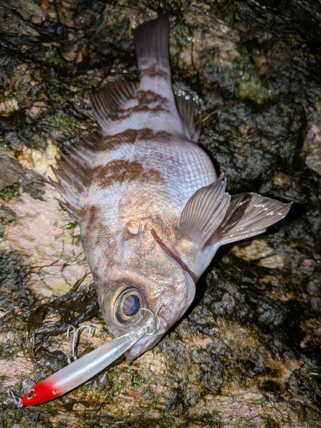 PXL_20251218_144838870