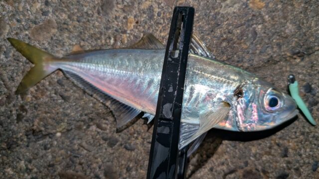 何故か？クリア系よりソリッド系が反応する！