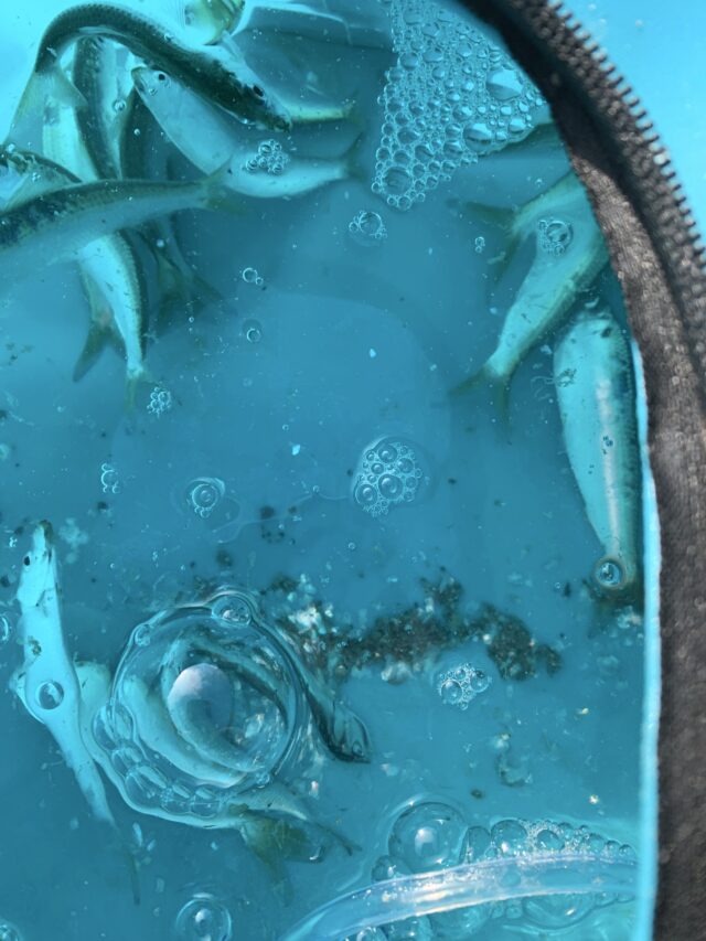 QrZBop91GrAV5wLASgGCSK5apfISbJIFhzFeWxcwVKLCUOw_RjyvHxXwhUwvPHaPu0DrS9gP3FSTRgPQZpvxL_BMCmLApAsds9ic8ZWhv2Lzzv23iy5ZuqxSOYE3OQOHQQq1-WG3eFy_I7uXKcbEYg==