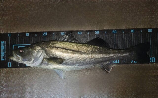 SXo7m_yLJcDvzH0TPob9WpI7njgJXxEoe1KDg1j5y3j_0Kr8vZomk2_dj17TeUI-kkvCOkixqcRqCfDCg0DhTpokaRmk7YZz48iJaLiUmeKRxqCLnaow018jlRGMoAIY6jNu5bRgUMkvYKl3YQCxcw==