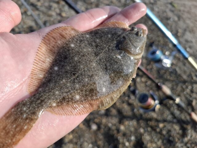 Screenshot_20251211_085153_Photos~2