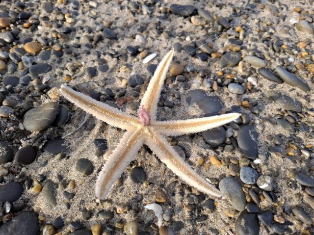 Screenshot_20251211_085200_Photos~2