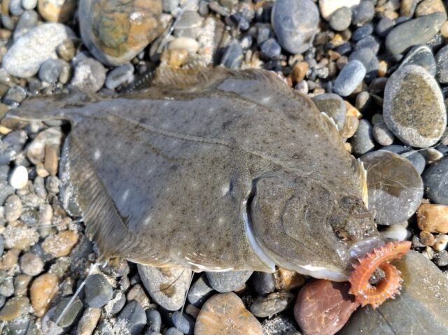 Screenshot_20251211_113603_Photos~2