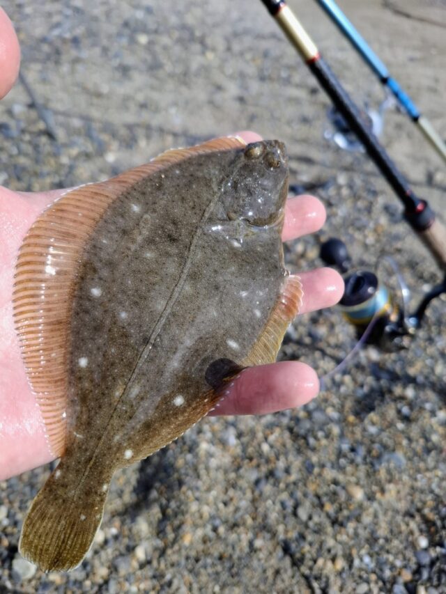 Screenshot_20251212_142615_Photos~2