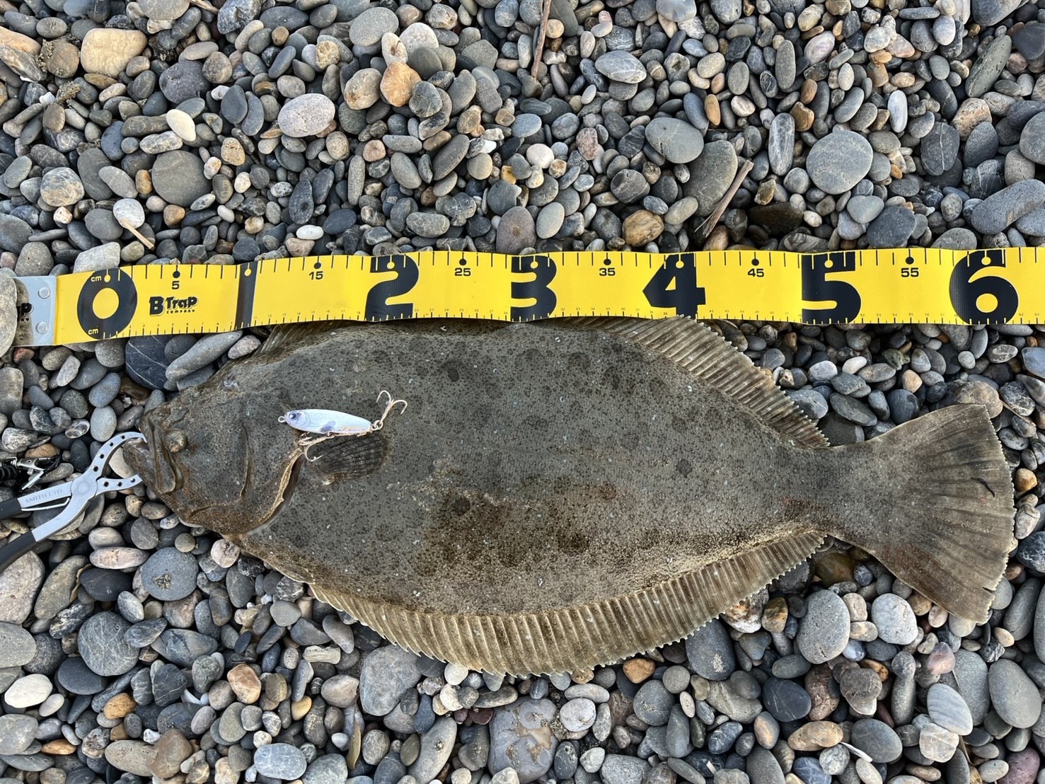 U2jXVGWcMk7LzdaJNTXS3Yi_LWAGkzIS-hlv2Sk3vp5tkkcT_Q4PZ1tOTHck_X_jXxCvnL0SkiADtLE1a8iRrQgfw9CApASdRB7_OQPOkDgOV9Hoos0flF4plcNrEoqlCPs1Dl06N9VAVlxHgFo47A==