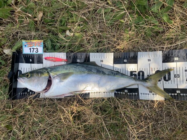 _aeNbfVK373cLQHBIDQHzbbJuWP9qM26UjXgfBTd7phhH4UoOCftAfyqw2ApV3F29Eq96hoCMwO5oPcwiYkoHfUMtP9k-xFV2SPJjHt_DhC8VsuWdl6ZCE5thokCuditOObrIXWDvj3wvVZWXR7TOg==