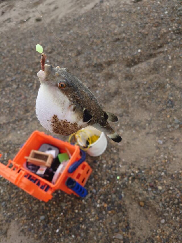 arkZoJeywtIqeExzGYwSRfQ_c9nmsdPc0gMVlpgurPZ-op2ggfvdMMvpv_OKquMz-Vv4JPl5U-LAIGLUOWWjz3BrPwWNGSMyUn3jaDEiXHvhqcUTyIZurkpI37kLwSWBdWH1GW1Hzzc1ZjJIrpDCnQ==