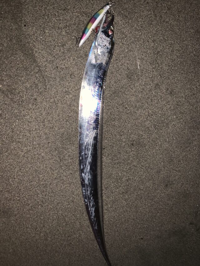 dpCMbrdjg3KpiVmk1ogYpOTD8gn7-GR1JgzV4Hfrc1H18aipTgPuUzKnHzRNP-b8V9VjNSlYl0_06jmPMuDdrtysBt4JsBoTrofkIGfQ_UZyRCqSQW8DiORwc2ejDz8BPGAWgRoNfwFFSQkqTkXAuA==