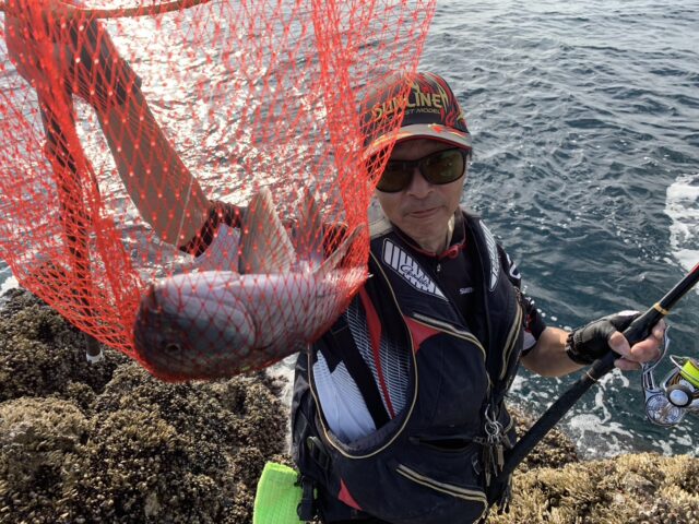 fO4YELTnJYE_gRo7zcMNQ2hhW0tQs6TQiUmMsVE-G6srEFd0U9h8ulCss__qVLQz0dpg231IVtPY1SX6Pwe8dGPUoHu_D3R1yfVAgpYgT_9adlNOySCq89znfufCm8ofyoEYSNdl5TIBu65cFcBv0A==