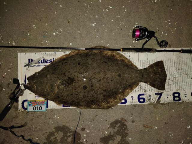 hbJS04yalEUd9W-uZQvnbw8MkgHEP_QevlXgvmjDzzcxhvjj89m4VxO9KtvUCjo0m2acSbAtingK4GueMzWqYaFLpiRq-cpudFAI09czNZKnkIGEu0wfUeS-JAeXV2VUxjd32DvNFM_jZ_FnFQeU0g==