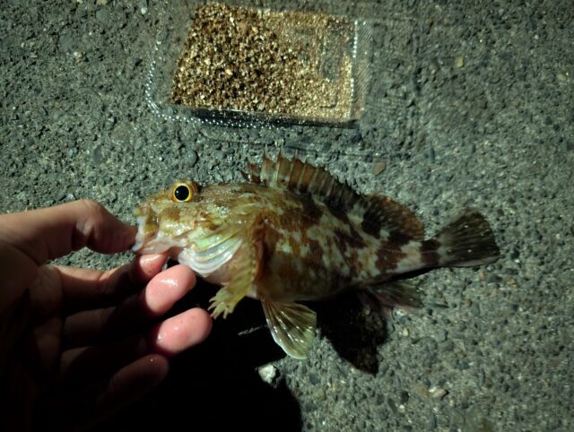 line_oa_chat_251219_112741_group_0