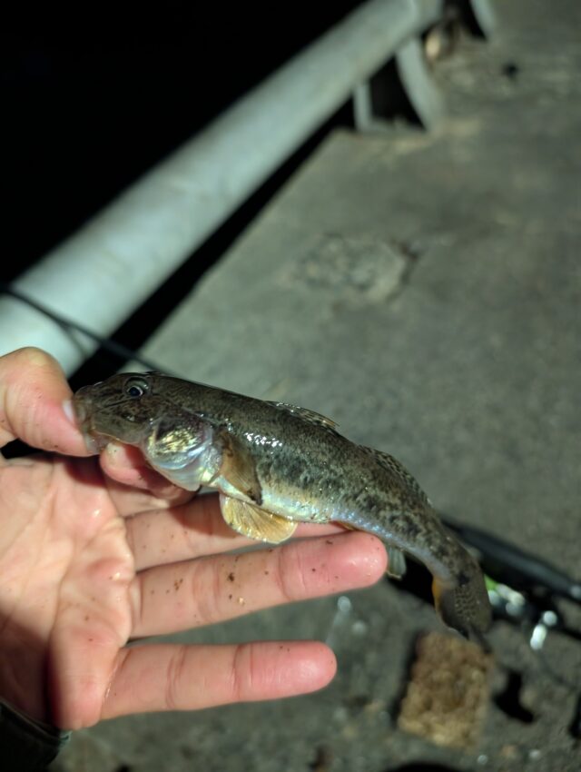 line_oa_chat_251219_112741_group_2