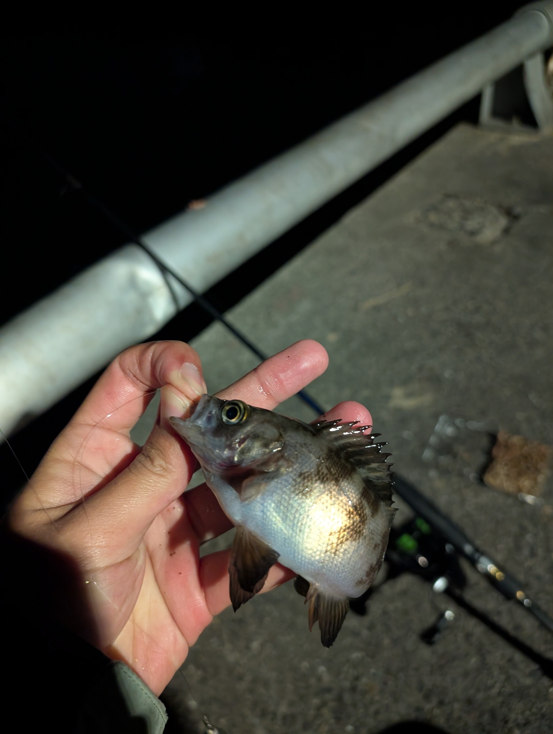 line_oa_chat_251219_112741_group_4