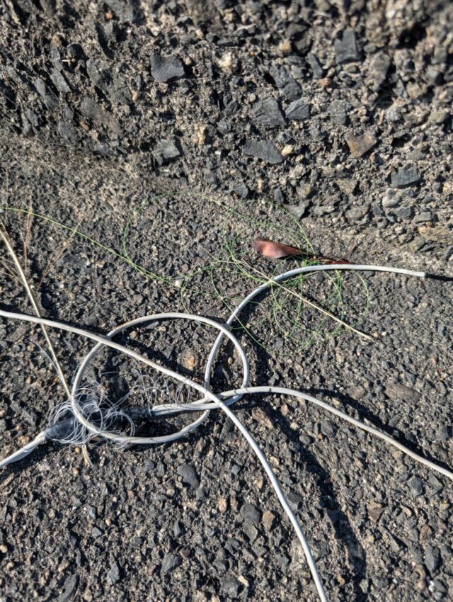 line_oa_chat_251222_125722_group_4