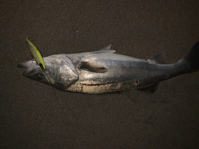 tjsOSD_ves_lKQgGkuhLLnJMDdgoE0dEOimpNYS6Kv4et5-jQXqYVJgyy37VYFwJT61M1f7PtFRE6goKBMr-ru9azDU0lL7hnthqlo6YSRPPSP34wSLVLMHDD1jdtorDkCPUNF5rJUTpUxwFl42Qjw==