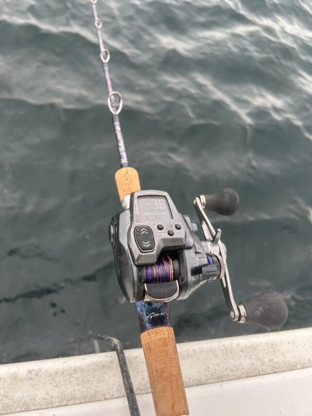 u5jF6FGvq11YUMTI7KqHo4kRt4LrDVR000U3QNMNmTSzoBHtZv3BI2QNvp3zbOmpuaiqvqnqxJW740ASNfRNHinPKJ-D2P1ZhUXcfUBt6vBjb90ylHgLXn0BqZJjShiSdWH1GW1Hzzc1ZjJIrpDCnQ==