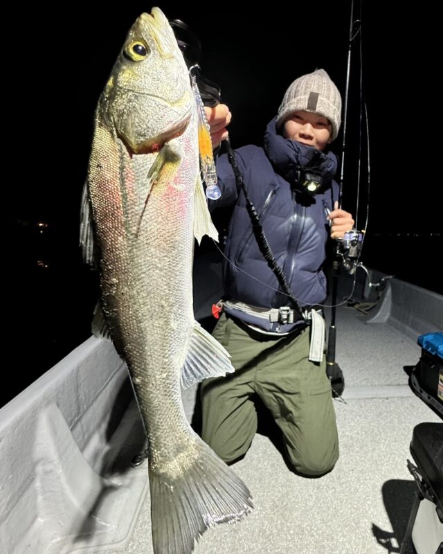 無限バイト！ボートシーバス釣行はいかがですか？