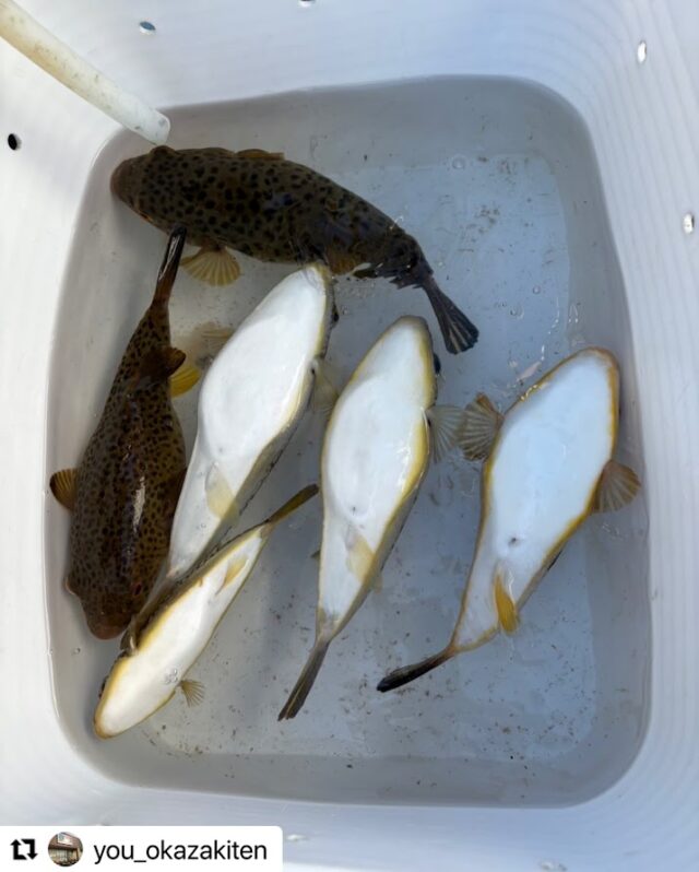 27D0E5FE-C190-494E-B98D-74EC2A0A58F2