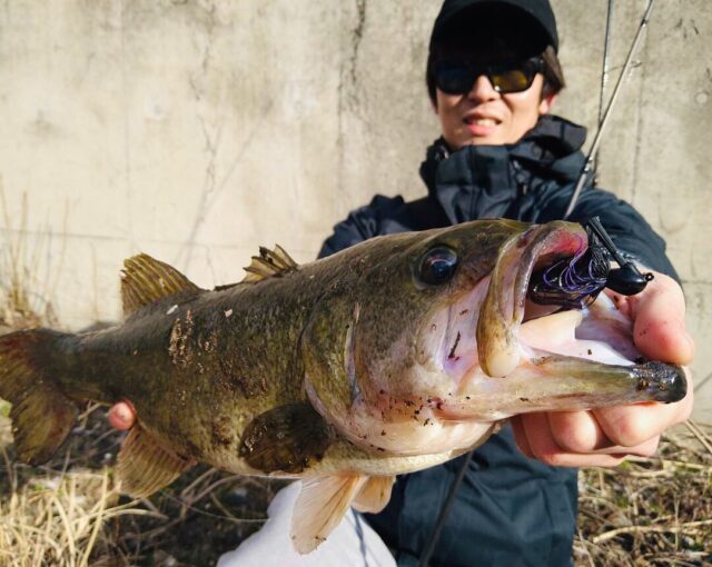 556A947B-021A-4CCD-9A26-272C418572C1