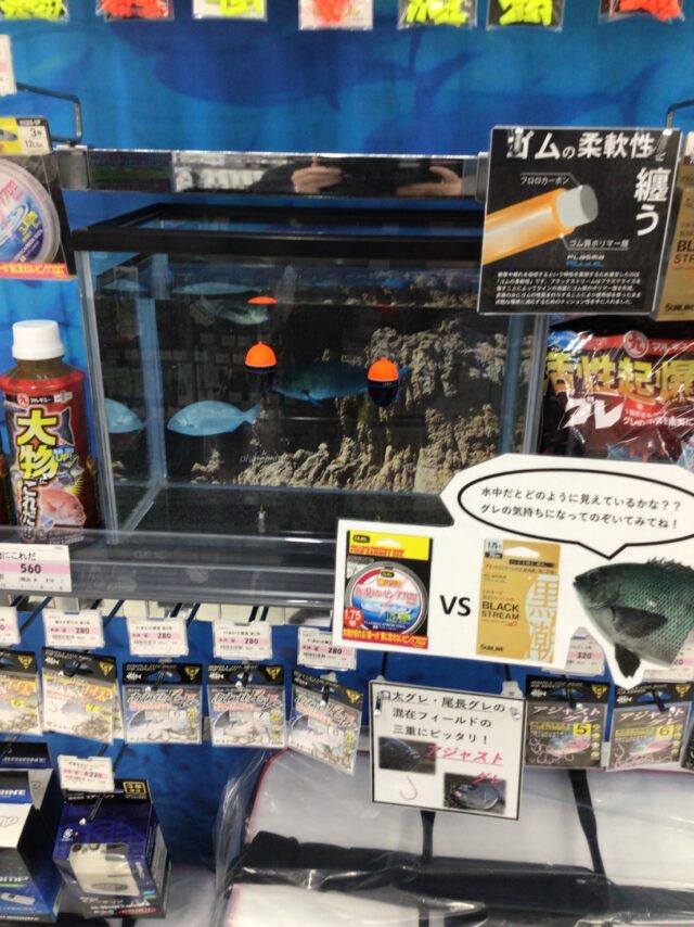 5JnkvnEphoDVI-2eXDBYG8YEt1Qi4nhZoXQlrj8M083wM-ASUzIAlnc7y53UJzPM3-MEQDNzEAVEQj1_9WO8ra8H0XAUqqcO-8l3yl9nA5X-uGBhPC7iqFK9IFStLhNNhQ7XXNlMIvOKyR-Uke5ipw== (1)