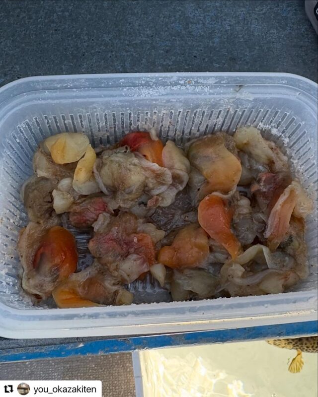 62DF5F13-B33D-4D33-8450-24FA1C3CDE66